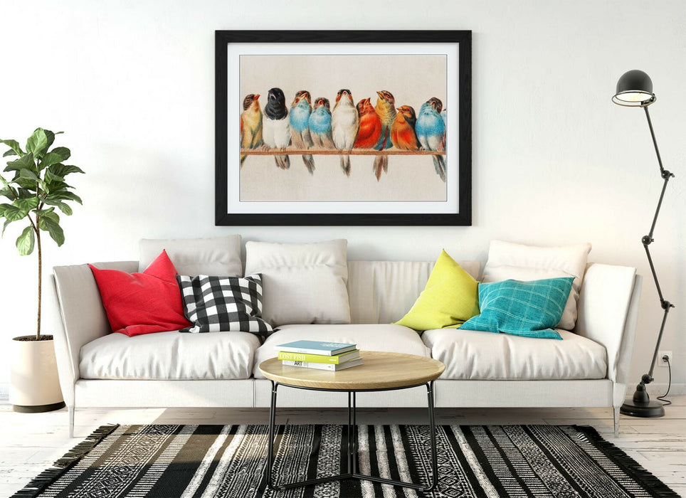 BIRDS ON A PERCH VINTAGE ART -ART FRAMED POSTER PICTURE PRINT ARTWORK- RED BLUE