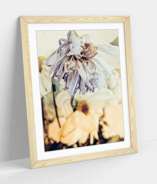 Framed Poster Art – Vintage Wall Art With Natural Wood Frame & Archival Ink Print