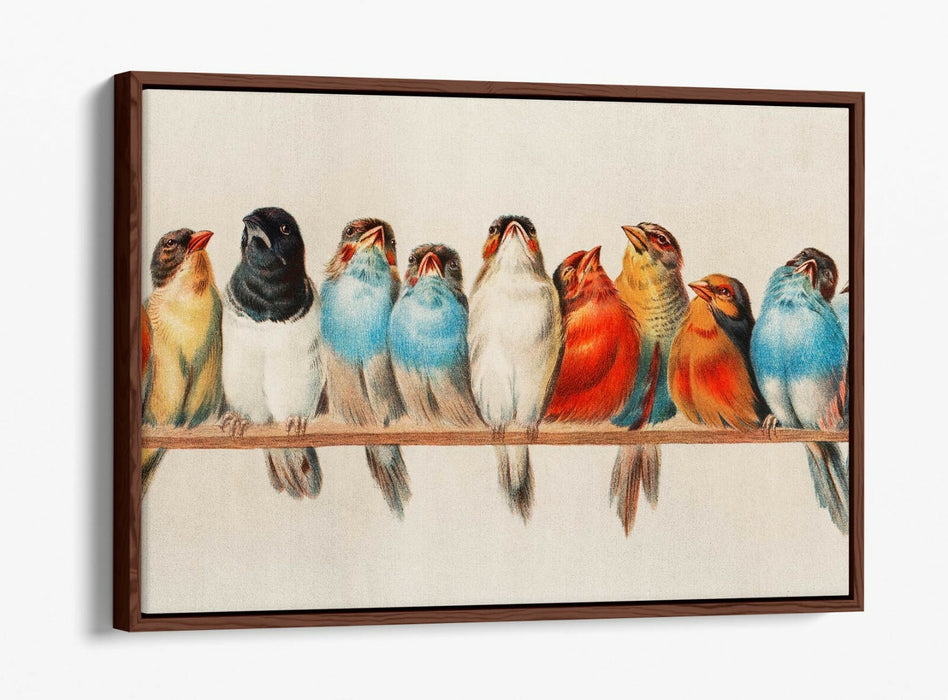 BIRDS ON A PERCH VINTAGE ART -FLOAT EFFECT CANVAS WALL ART PIC PRINT- RED BLUE