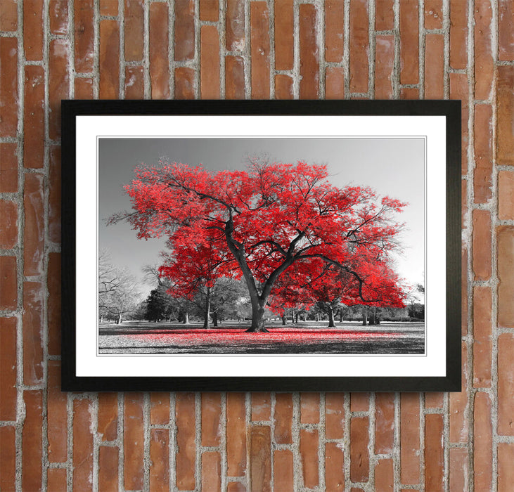 Framed Wall Art - Large Tree Red Leaves Poster With Natural Wood Frame