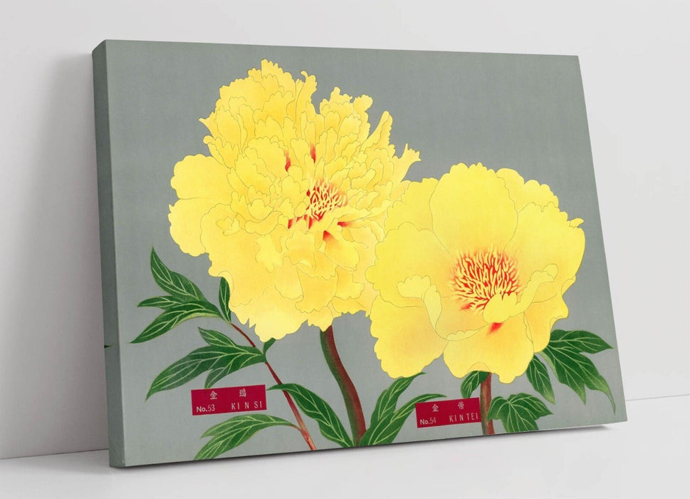 Vintage Canvas Wall Art – Peony Blossom Print Yellow Flower Artwork Ready to Hang