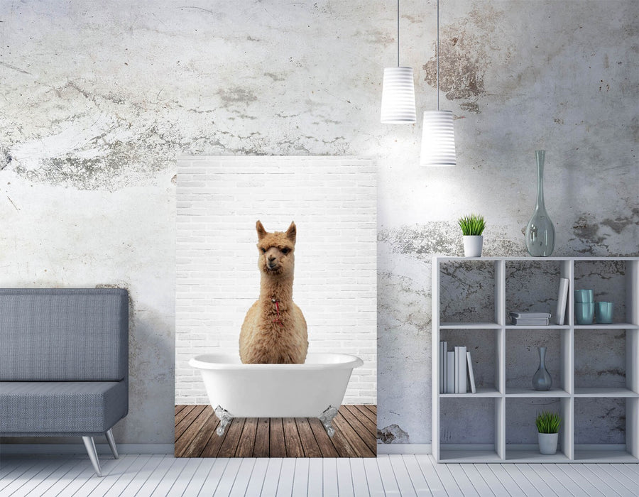 LLAMA IN BATHTUB -QUIRKY CANVAS WALL ART PRINT ARTWORK ANIMAL FRAMED BATHROOM