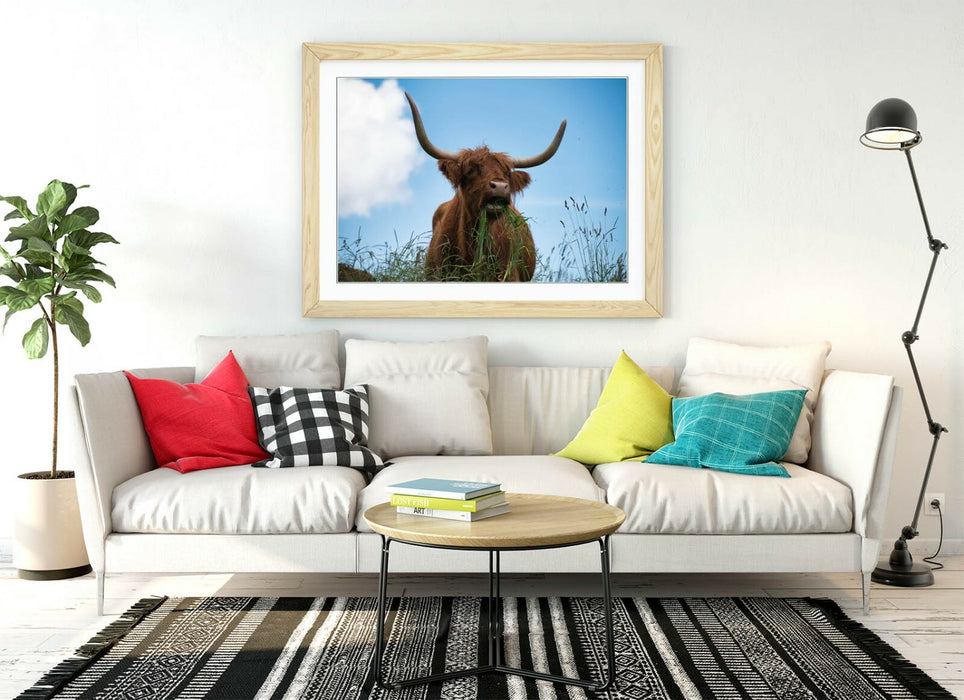 HIGHLAND COW BLUE SKY -WALL ART FRAMED POSTER PICTURE PRINT- ANIMAL PHOTO