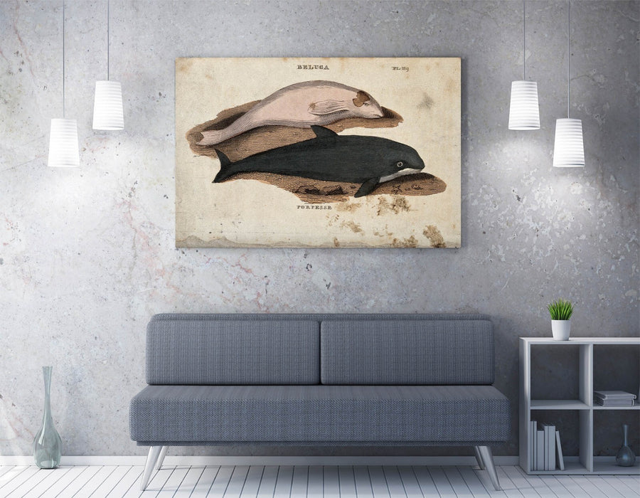 Beluga Whale Canvas - Handmade Marine Animal Decor | Vibrant Color Artwork