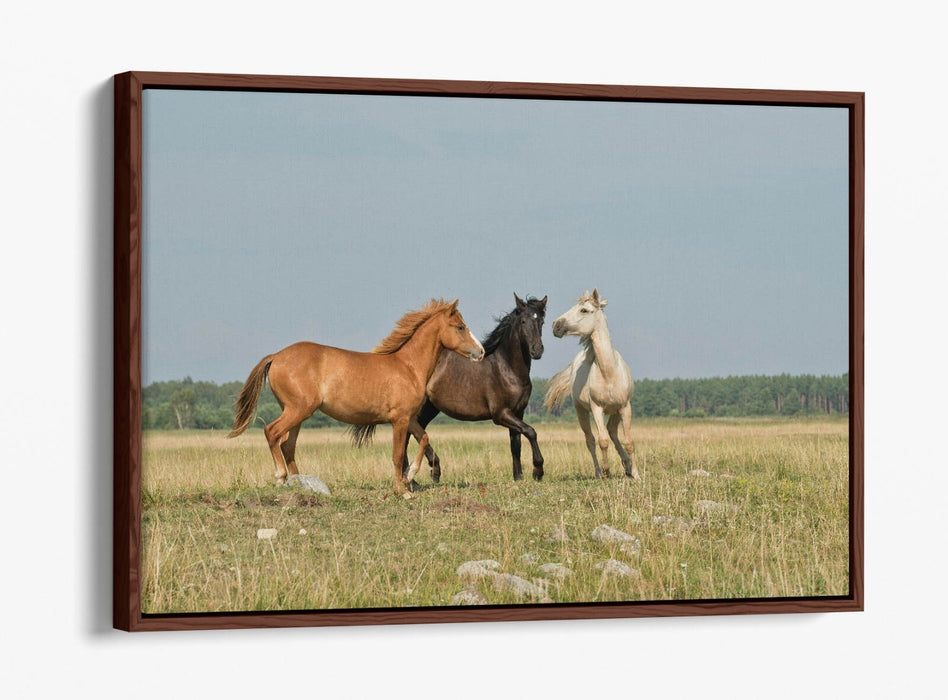 HORSES GALLOPING IN FIELD LANDSCAPE HOME DECO FLOAT EFFECT CANVAS WALL ART PRINT
