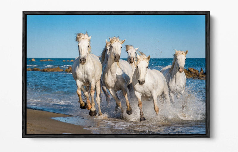 Canvas Wall Art - White Horses Running on Beach | Float Effect Print