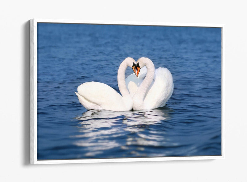 Canvas Wall Art – Swans Kissing Heart Love Print | Float Effect Bedroom Decor