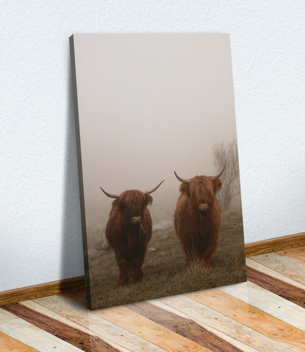 Canvas Wall Art | Shetland Cows Animal Canvas Print - 30mm Deep Frame, Handmade
