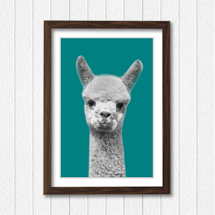 ALPACA BLACK AND WHITE TEAL FRAMED POSTER WALL ART PRINT ARTWORK DESIGN