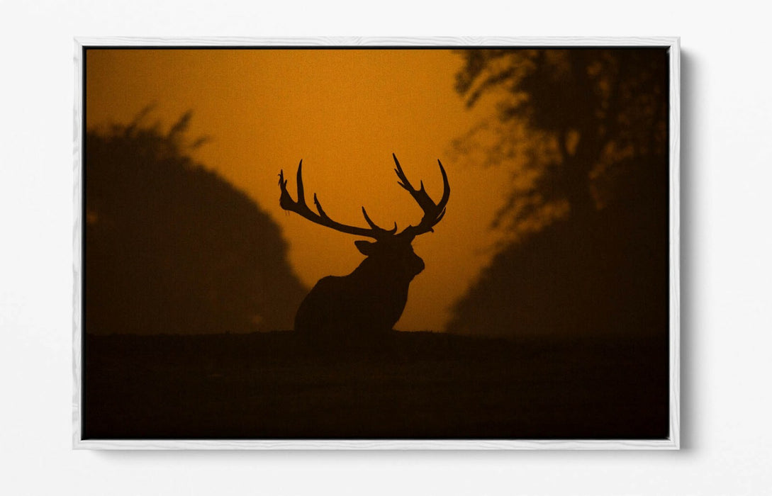 STAG SILHOUETTE SUNSET -FLOAT EFFECT CANVAS WALL ART PIC PRINT- ANIMAL PHOTO