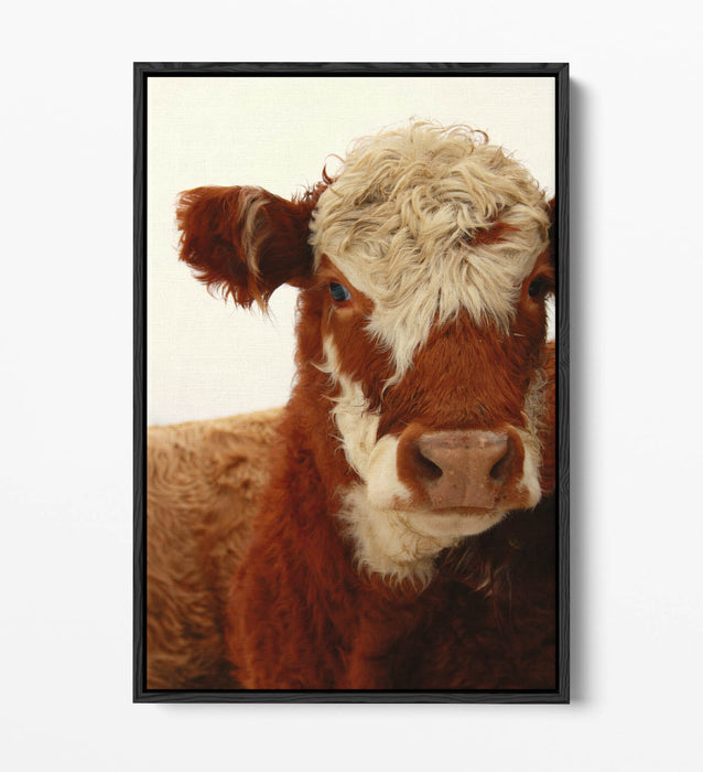 Cow Canvas Wall Art - Brown White Cow Print on Float Effect Canvas | Handmade