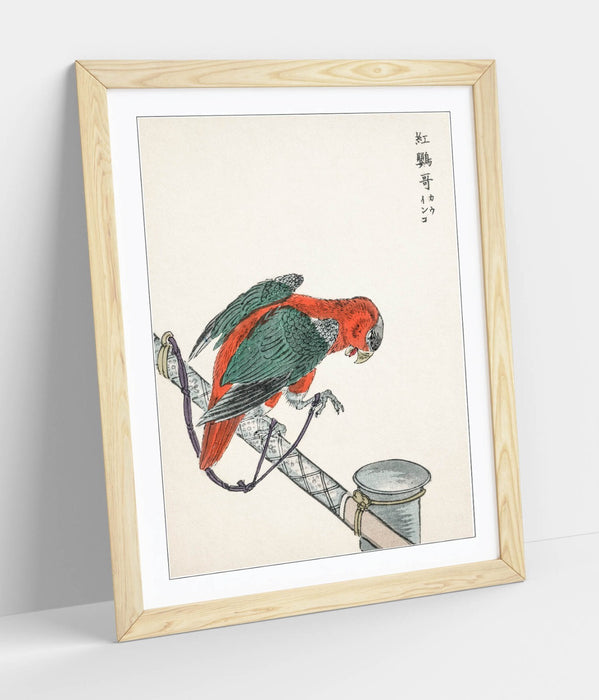 Framed Wall Art - Numata Kashu Macaw Poster Print | Handmade UK Woodgrain Frame