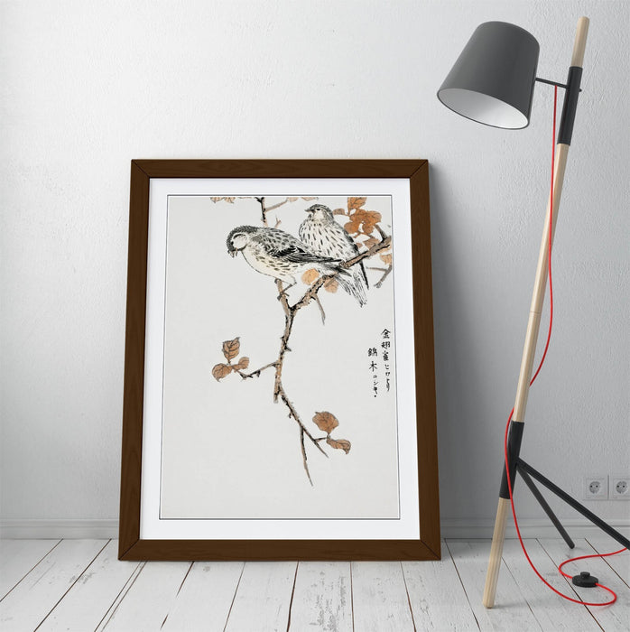 Framed Wall Art - Numata Kashu Siskin & Euonymus Alata Botanical Print Poster