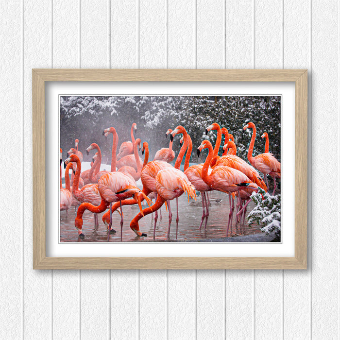 Flamingos Wall Art - Animal Framed Print With Natural Wood Frame, Ready To Hang