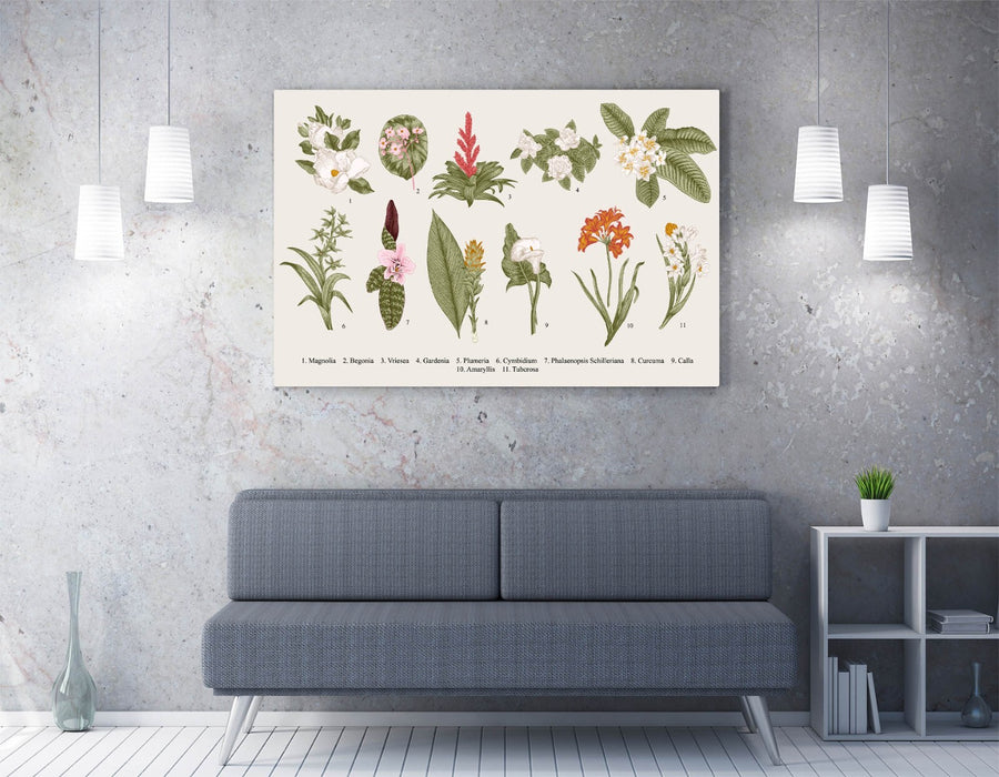 Flower Canvas Wall Art – Labelled Flower Illustrations | Premium Handmade UK Canvas Print