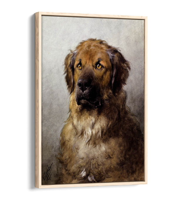 Canvas Wall Art – Otto Ereleman Head Of Leonberger | Premium Float Effect Print