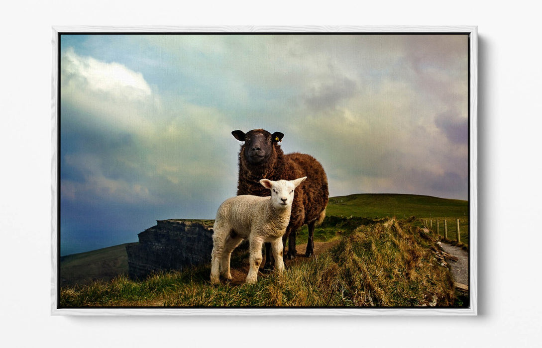 2 IRISH SHEEP MOUNTAIN LANDSCAPE HOME DECOR -FLOAT EFFECT CANVAS WALL ART PRINT