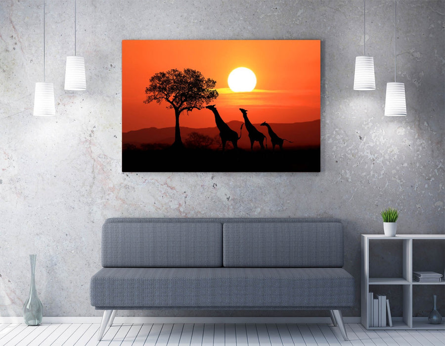Giraffes Canvas Art - African Wall Decor | Sunset Safari Print On Archival Grade Canvas