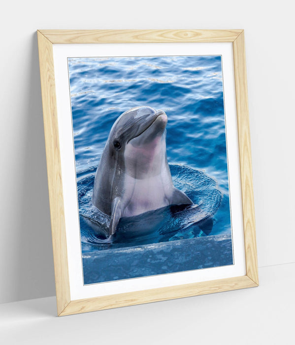 Dolphin Wall Art – Cute Dolphin Print Framed Art Poster | Handmade UK Frame