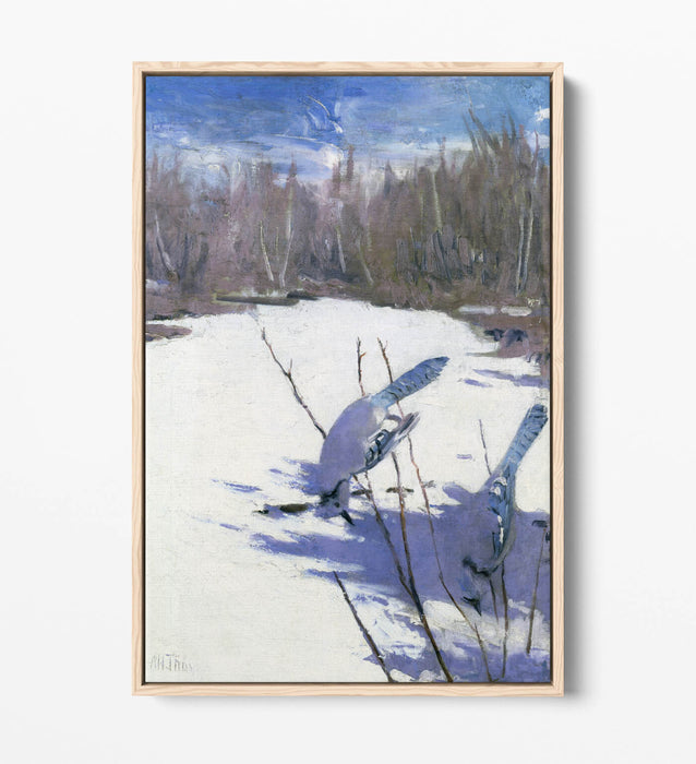 Canvas Art Print – Blue Jays In Winter Float Effect On MDF Frame, Ready To Hang
