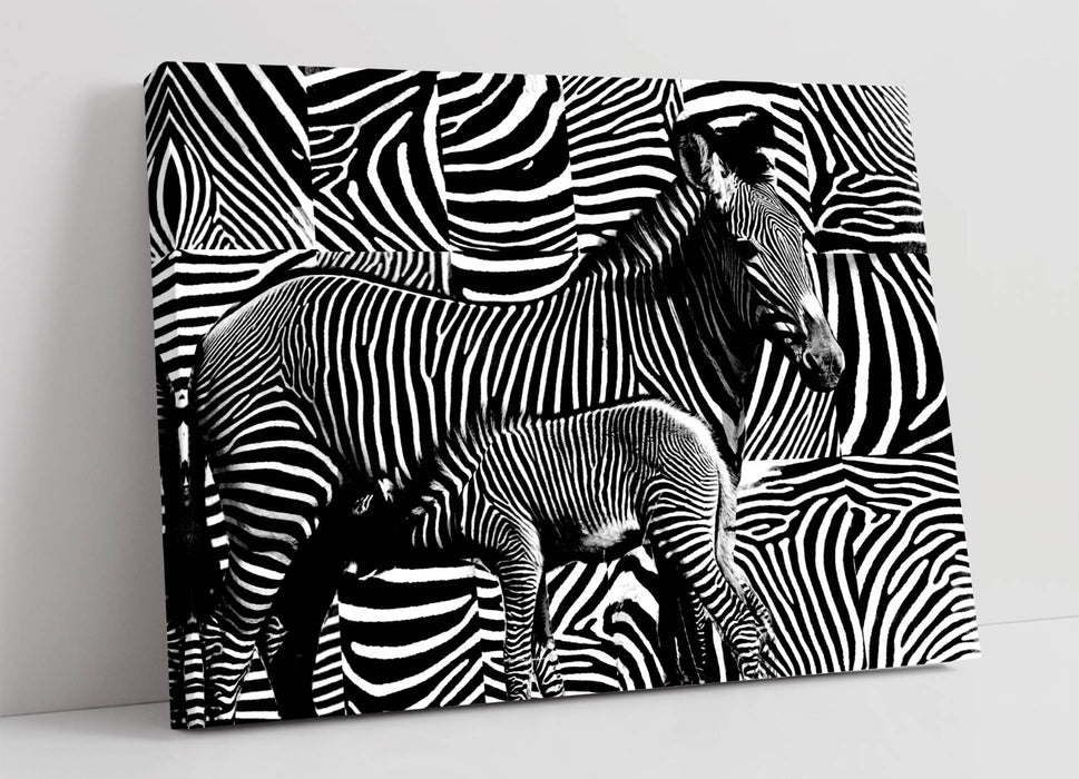 Zebra Canvas Wall Art – Handmade Black and White Art with Zebra Stripe Canvas