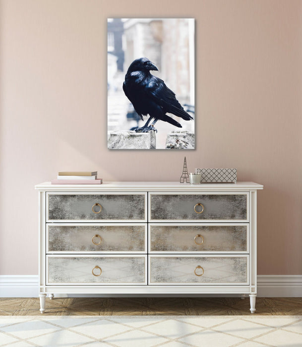 BLACK RAVEN CANVAS WALL ART PRINT ARTWORK DEPP FRAMED 30mm - Animal power