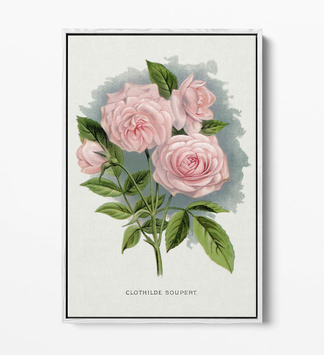 Canvas Wall Art Print – Pink Rose Artwork | Float Effect Canvas, Vibrant Colour Prints