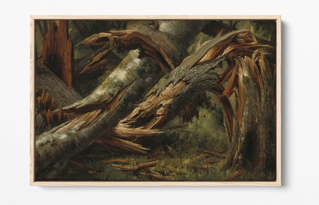 ALEXANDRE CALAME, FALLEN TREE -FLOAT EFFECT CANVAS WALL ART PIC PRINT