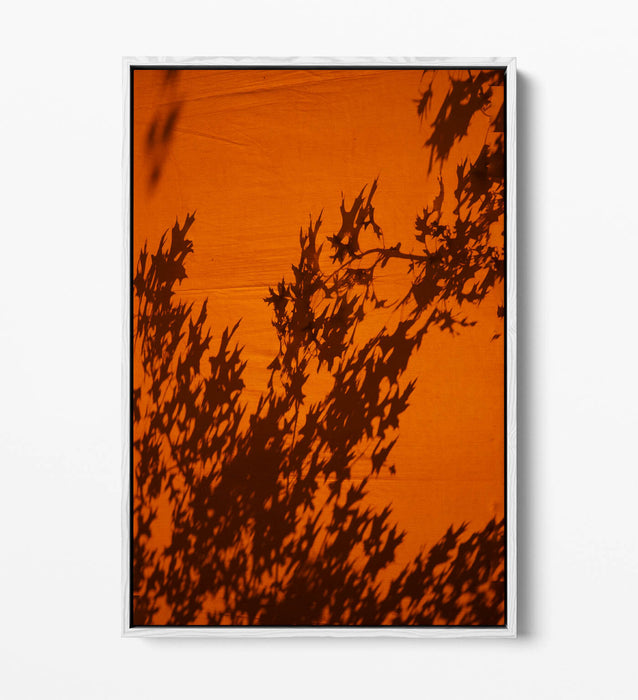 Canvas Wall Art Print - Orange Sunset Art With Tree Leaves Shadow | Float Effect Canvas