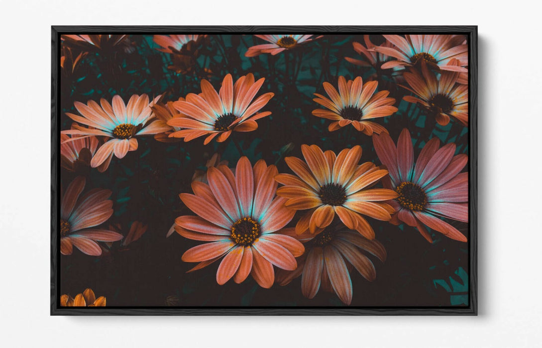 VINTAGE TEAL PEACH FLOWERS -FLOAT EFFECT CANVAS WALL ART PIC PRINT-