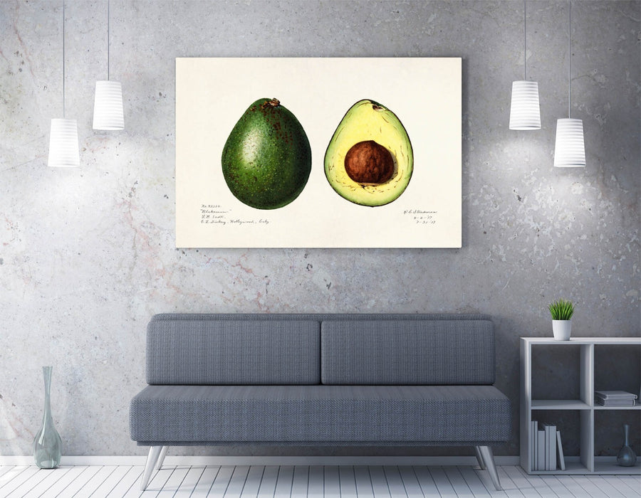 Canvas Wall Art – Handmade Avocado Canvas Print with Scratch Resistant Finish