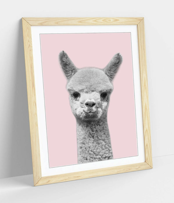 ALPACA BLACK WHITE BABY PINK -FRAMED ART POSTER PICTURE PRINT ARTWORK
