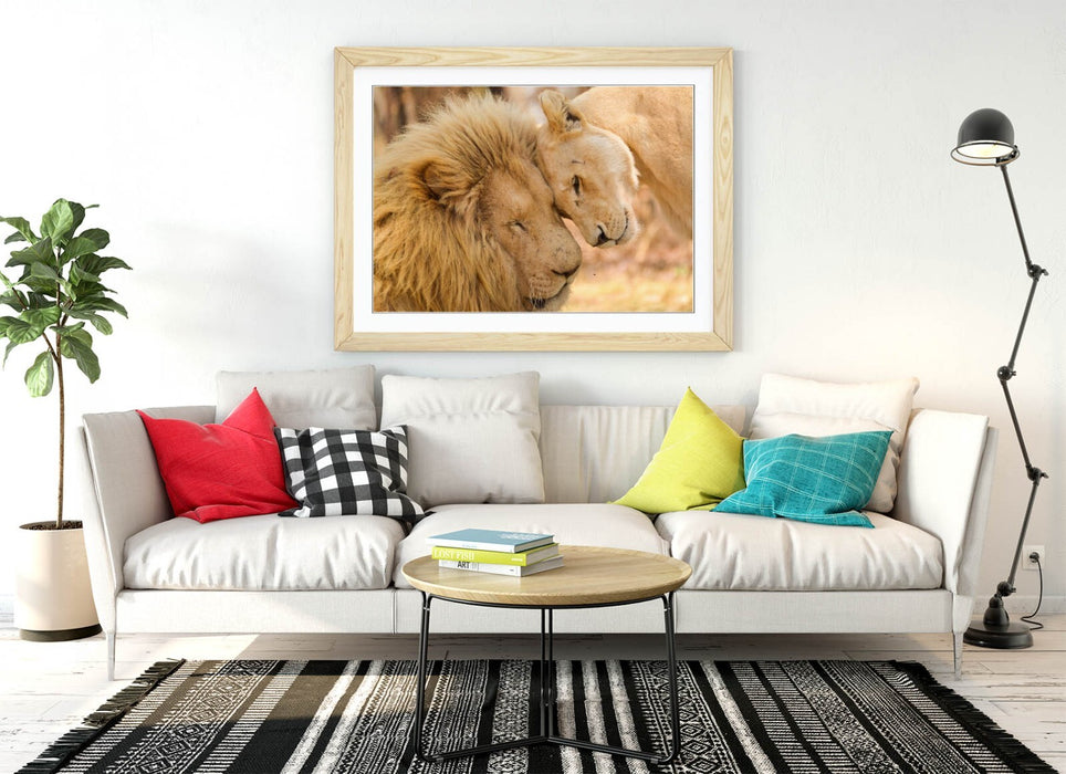 Framed Wall Art - Lions In Love Print | Handmade Bedroom Decor, Matte Paper Print
