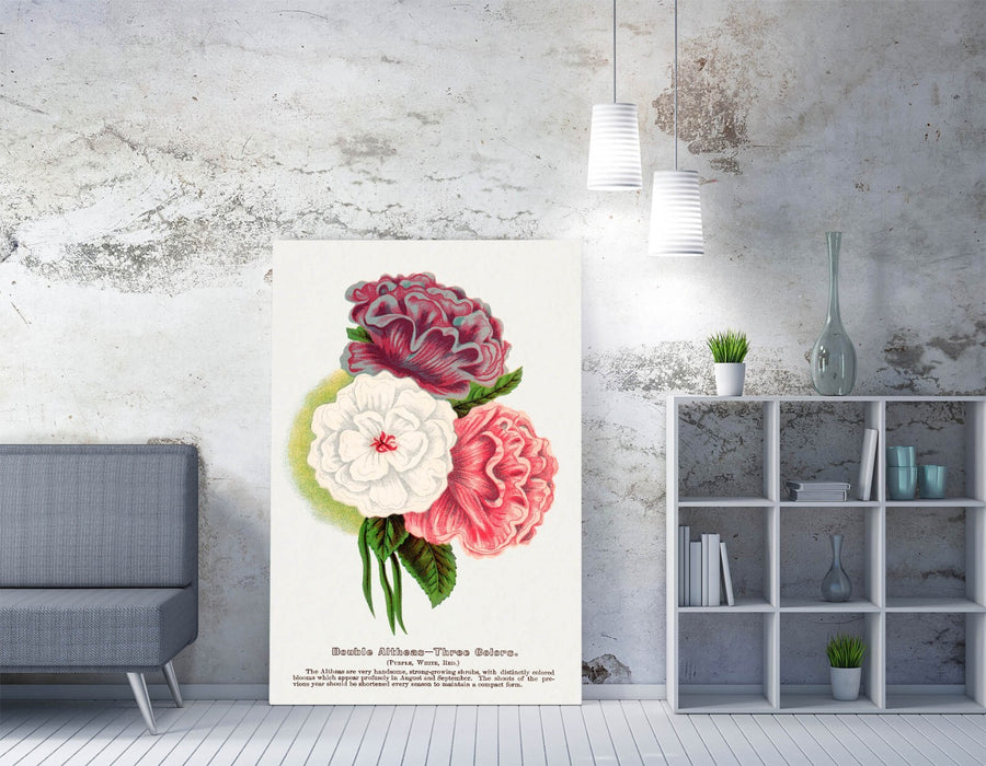 Canvas Wall Art - Double Althea Lithograph Print | Handmade Vibrant Canvas Artwork