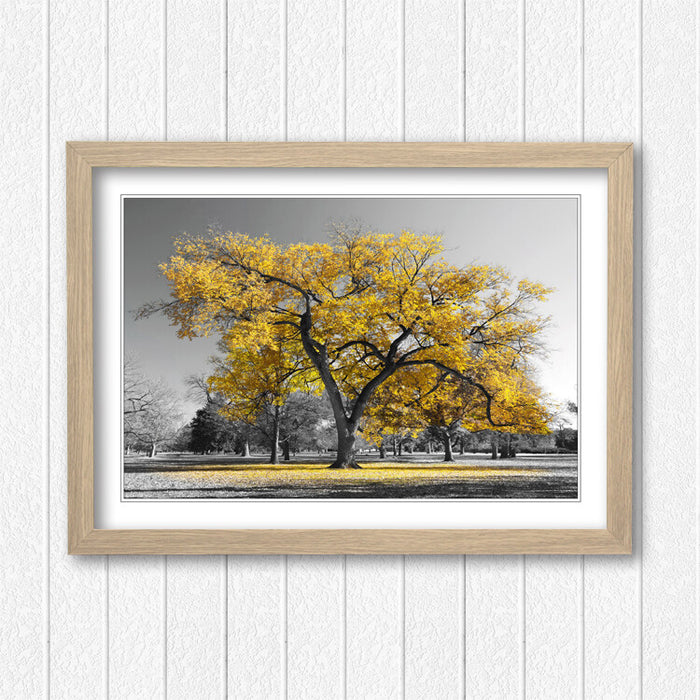 Framed Wall Art Poster Large Tree Yellow Leaves Black White Print - Matte Paper