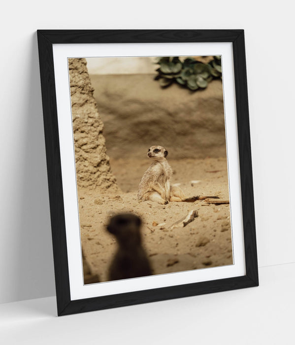 Meerkat Wall Art - Framed Sand Meerkat Print | Cute Animal Art Bedroom Decor