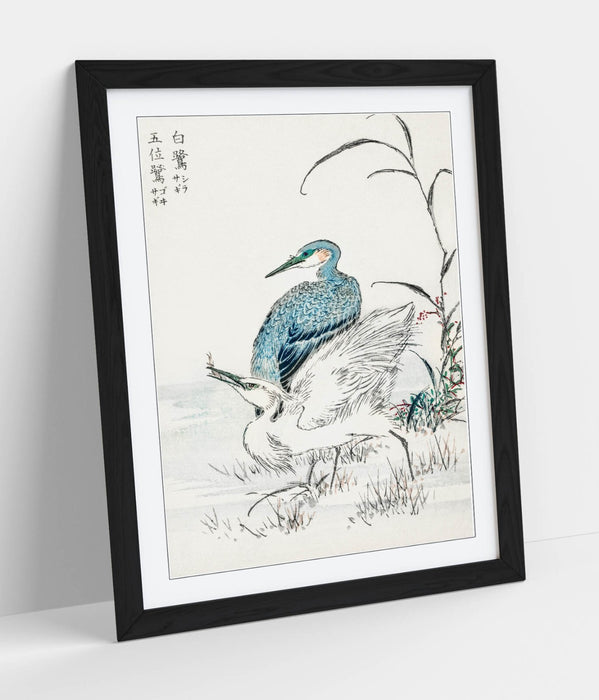 Framed Wall Art – Numata Kashu Night Heron & Little Egret Bird Print Poster