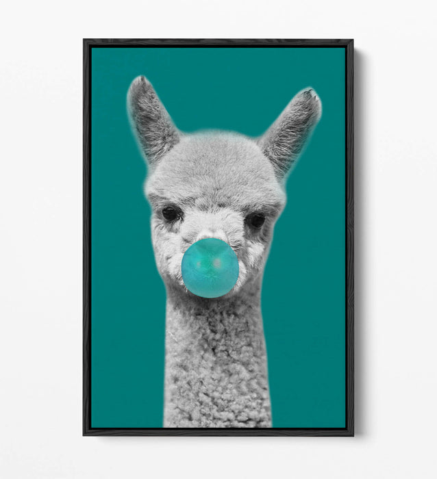 ALPACA BLACK WHITE TEAL BUBBLEGUM FLOAT EFFECT CANVAS WALL ART PIC PRINT