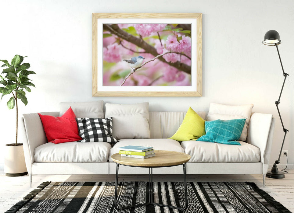 BIRD & CHERRY BLOSSOM PHOTOGRAPHY -FRAMED POSTER WALL ART PICTURE PRINT ARTWORK