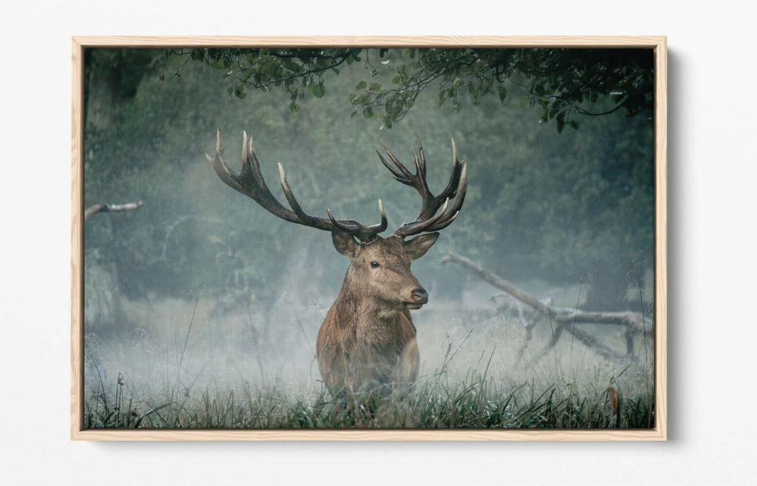 MAJESTIC STAG -FLOAT EFFECT CANVAS WALL ART PIC PRINT- ANIMAL PHOTO