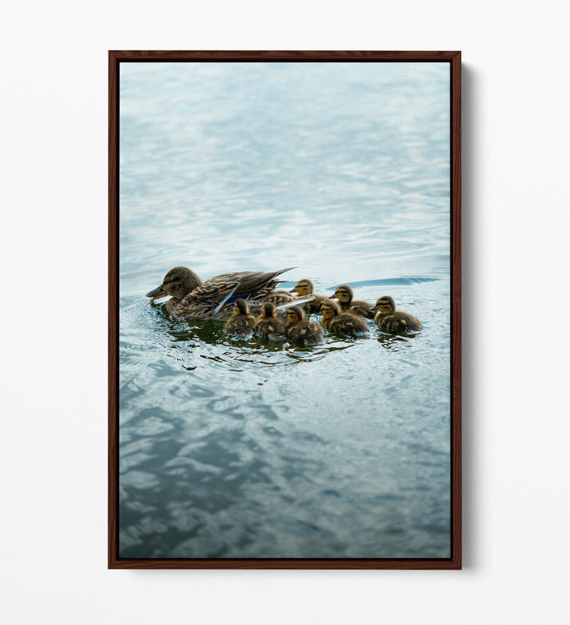 Duck Canvas Wall Art - Handmade UK Canvas Print With Float Effect Frame
