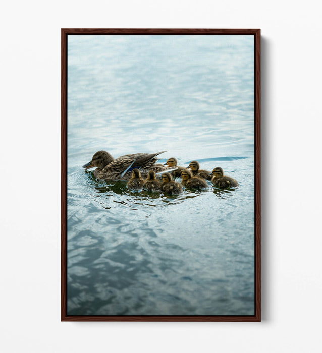 Duck Canvas Wall Art - Handmade UK Canvas Print With Float Effect Frame
