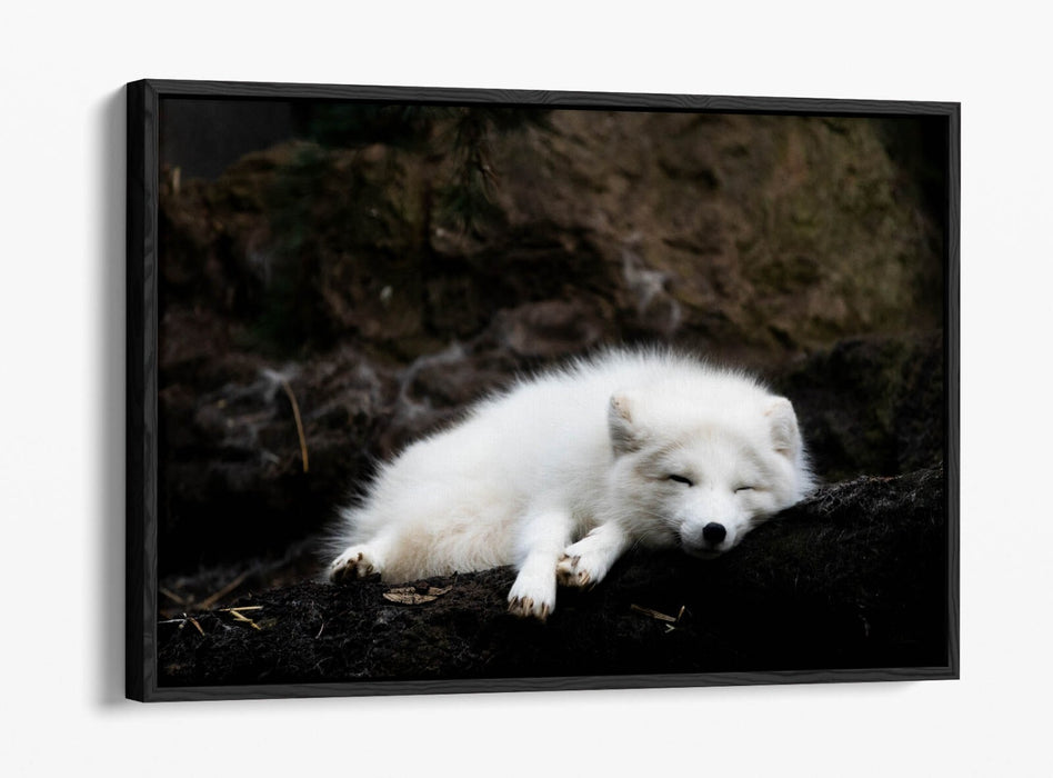 Wolf Canvas Art - Handmade Float Effect Canvas Wall Decor With Premium Frame
