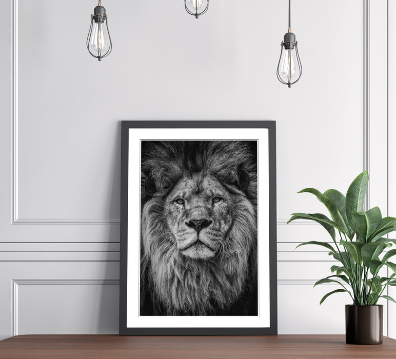 LION HEAD BLACK AND WHITE WALL ART PRINT STRENGTH COURAGE 4 FRAME SIZES POSTER