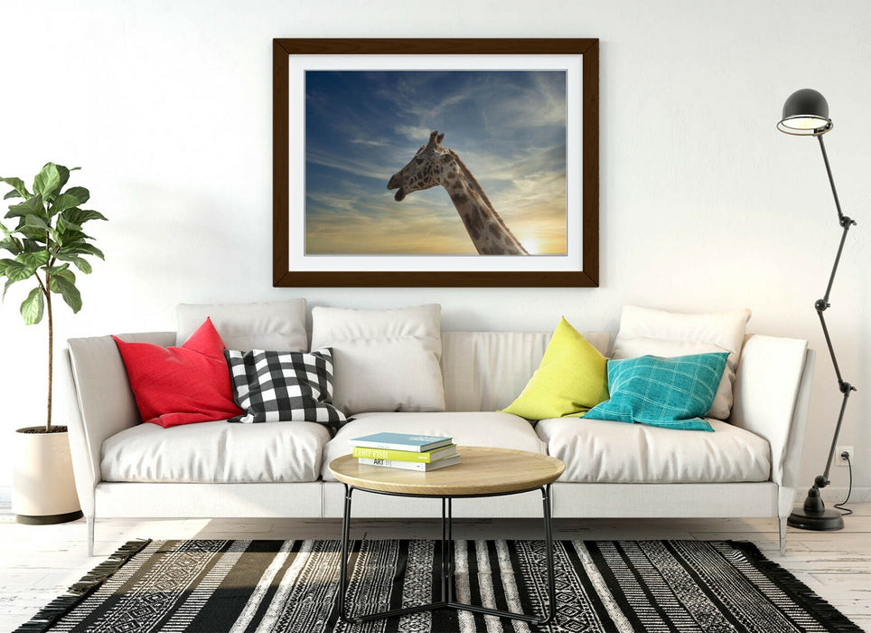 GIRAFFE IN THE CLOUDS -ART FRAMED POSTER PICTURE PRINT ARTWORK- ANIMAL PHOTO