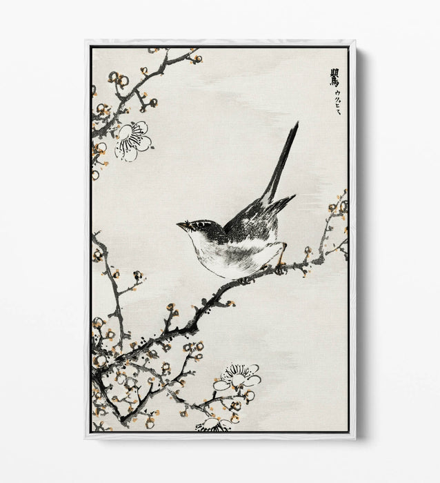 Float Effect Canvas Art - NUMATA KASHU Bush Warbler & White Plum Tree Print
