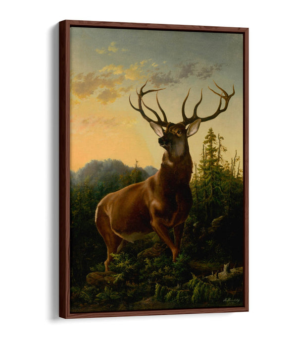 Canvas Wall Art - Handmade Deer Forest Print | Float Effect, Premium Varnish Finish