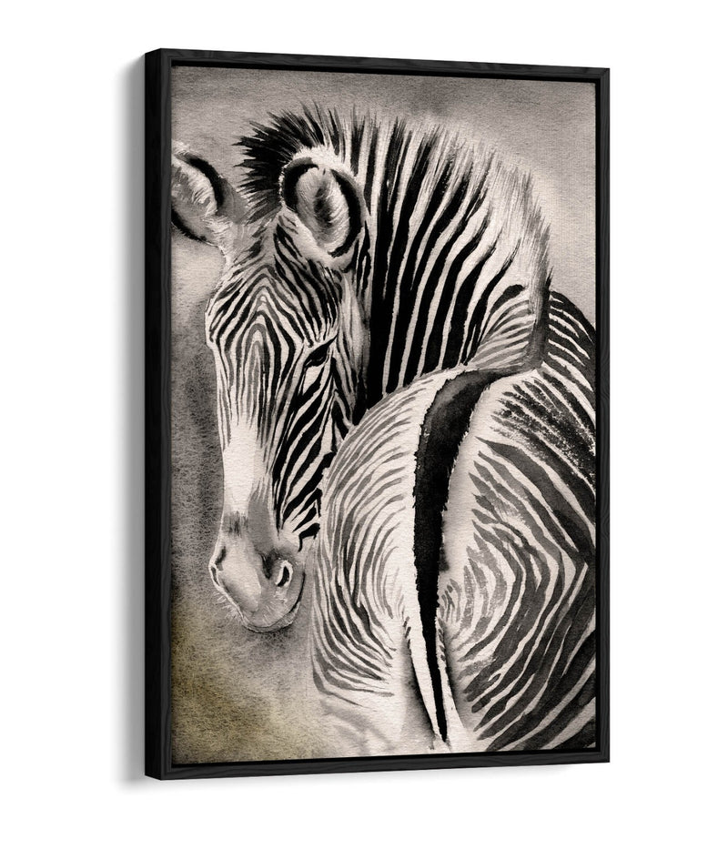 Zebra Canvas Art – Watercolor Wall Decor With Float Effect Frame, Ready To Hang