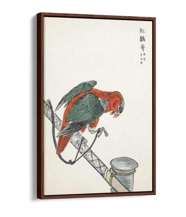 Canvas Wall Art - Macaw Float Effect Canvas Art Print | Handmade UK