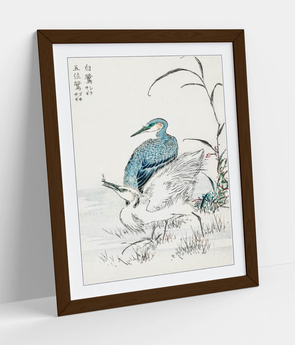 Framed Wall Art – Numata Kashu Night Heron & Little Egret Bird Print Poster